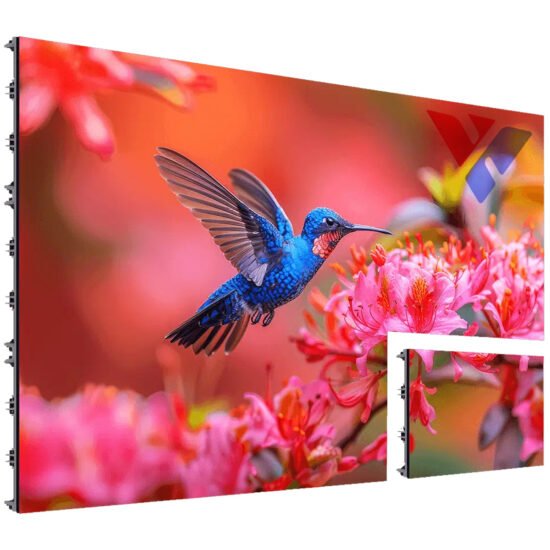 Striking indoor LED display featuring a vivid blue hummingbird and pink flowers against a warm, gradient backdrop—designed to highlight color precision and branding potential in UAE installations.